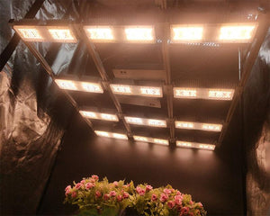 Eco Farm 400W/600W/800W/1000W LED Grow Light