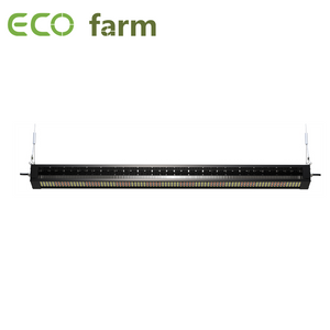 ECO Farm 320W/640W LED Grow Light With 630nm+460nm Full Spectrum Hydroponic Grow System Light Strips
