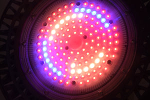 ECO Farm High Power Full Spectrum 100W/150W/200W UFO LED Grow Light