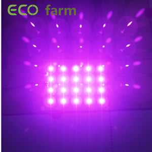 ECO Farm 30W LG UV 395nm Supplemental Lighting Quantum Board