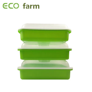 ECO Farm Hydroponic Nursery Seedling Tray With Lid