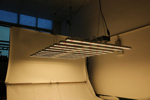 ECO Farm 900W LED Light With 12 Strips Samsung 561C/301B Chips +660nm+IR+UV Light Chips