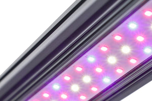 KIND LED X-Series X40 / X80 Bar Light - LED Grow Lights Depot