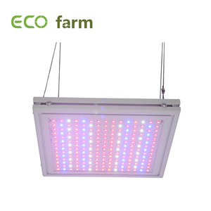 ECO Farm 24W/47W LED Grow Light For Seeding