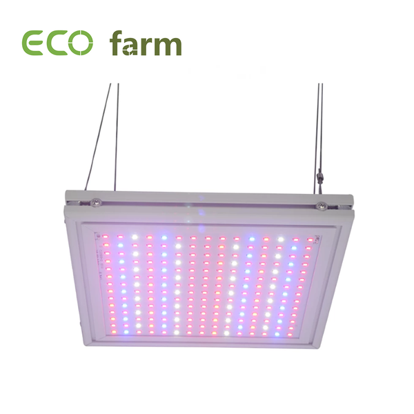 ECO Farm 24W/47W LED Grow Light For Seeding