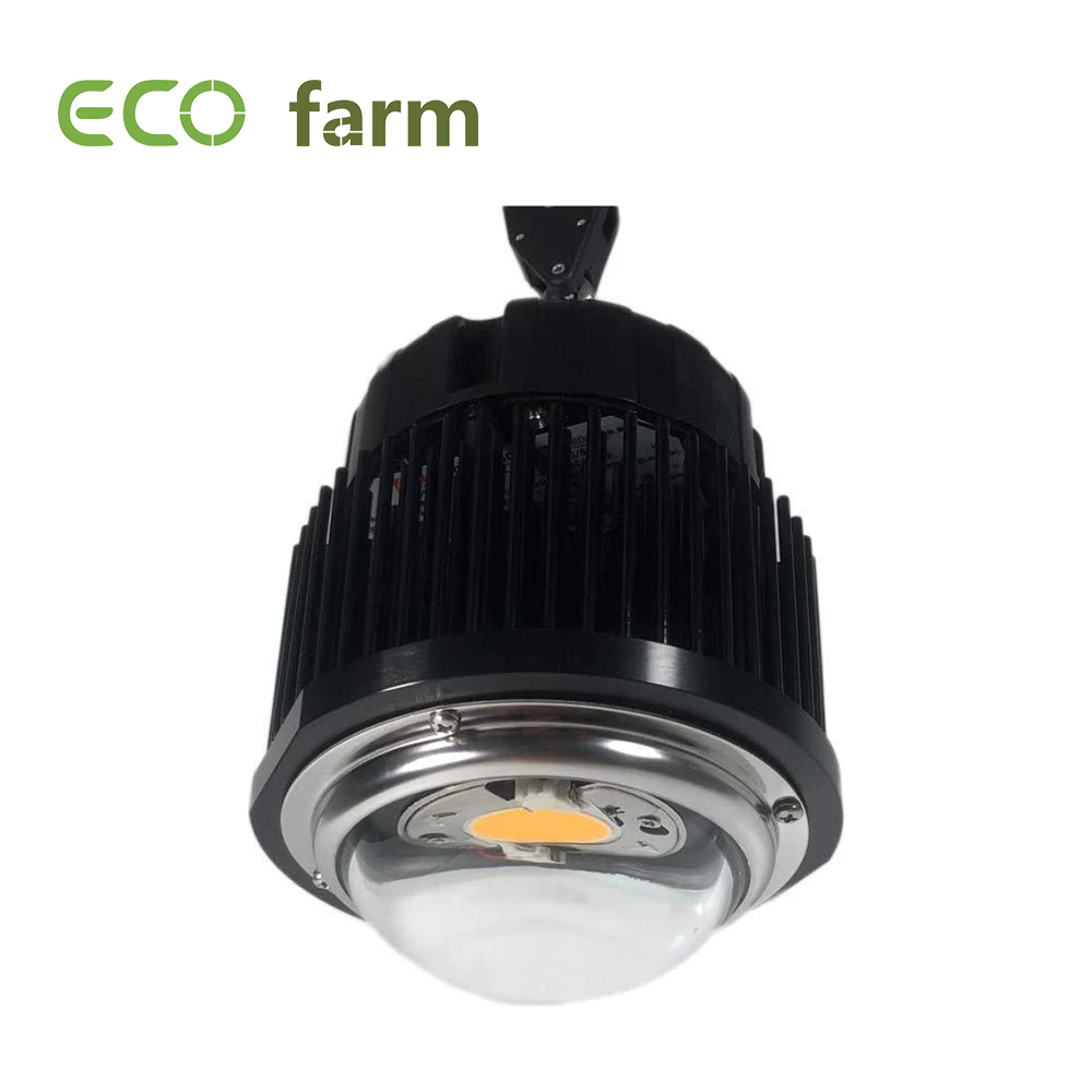 Lumière de plante LED ultra-mince 100W, lumière de croissance COB