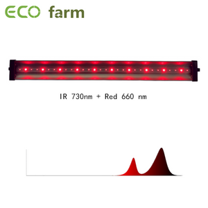 ECO Farm 30W IR 730NM + Red 660NM Osram Chips Supplemental Single Light Bar