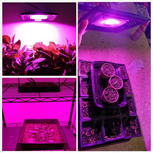 ECO Farm 50W Waterproof COB Red Light LED Grow Light