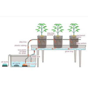 ECO Farm Ebb & Flow Drip Irrigation Hydroponic System- Easy to Program for Beginners and Pros Alike