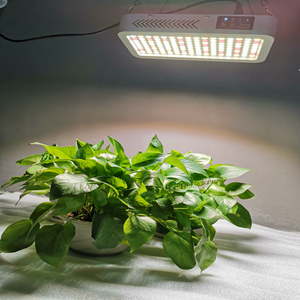 ECO Farm 120W COB Full Spectrum LED Grow Light With Domestic Chips Segmented Loop Timing Light