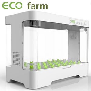 ECO Farm Indoor Hydroponic Grow Systems For Plant