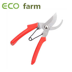 ECO Farm 15 MM Stainless Steel Plastic Grip Fine Polished Greenhouse Plant Pruning Shears