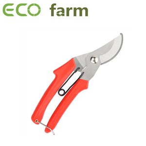 ECO Farm 15 MM Stainless Steel Plastic Grip Fine Polished Greenhouse Plant Pruning Shears