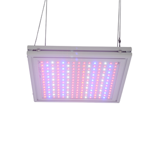 ECO Farm 24W/47W LED Grow Light For Seeding