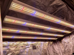 Slim 320H Dimmable LED Grow Light 320W (120 Degree) With Four Strips 3500K Color Temperature