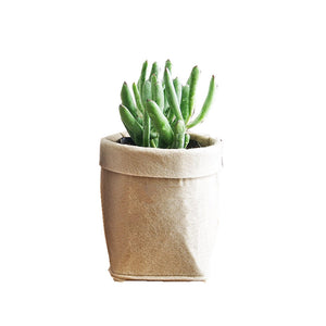 ECO Farm Felt Flower Pot Indoor Minimalist Gardening Flower Pot