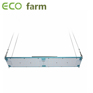 ECO Farm 120W/240W Quantum Board With Samsung 301H+Epistar Chips+MeanWell Driver Blue Type Dimmable Grow Light