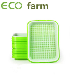 ECO Farm Seed Germination Box Plastic Plant Hydroponic Seedling Trays For Plant Sprout With Soil-Free
