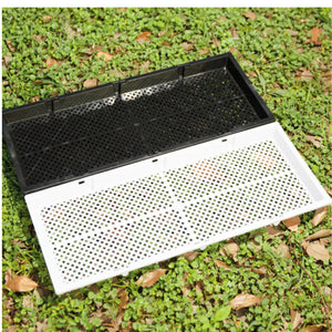 ECO Farm Hydroponic Soilless Culture In Plastic Seedling Planting Tray