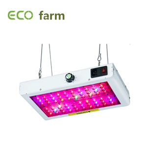 ECO Farm 120W/240W LED Full Spectrum Grow Light