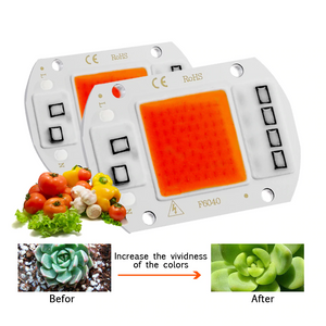 ECO Farm LED Grow Light Full Spectrum COB LED Chip AC No need driver Phyto Lamp For Indoor Plant Light Seedling Grow Lamp