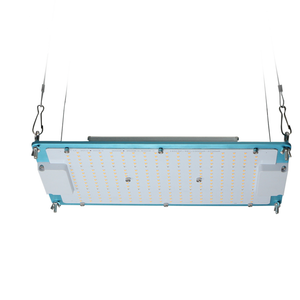 ECO Farm 120W/240W Quantum Board With Samsung 301H+Epistar Chips+MeanWell Driver Blue Type Dimmable Grow Light