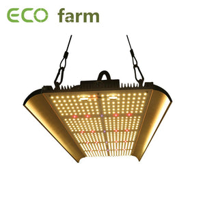 ECO Farm 3'x3' Complete Grow Tent Kit - 240W LED Quantum Board With Samsung 561C  Chips