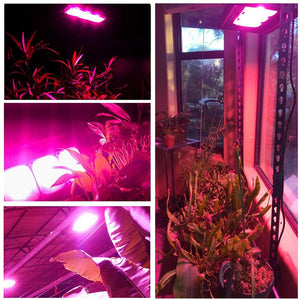 ECO Farm 150W Waterproof COB LED Grow Light