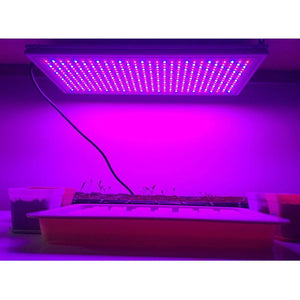 ECO Farm 24W/47W LED Grow Light For Seeding