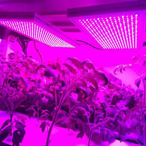 ECO Farm 24W/47W LED Grow Light For Seeding