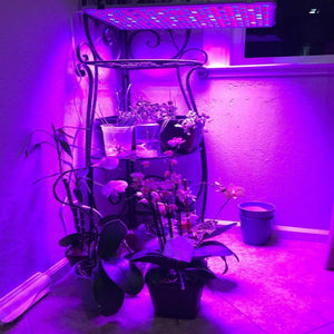 ECO Farm 60W Full Spectrum LED Multi-light Plant Panel Grow Light