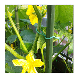 ECO Farm Gardening Foam Line High-strength Greenhouse Line Medicinal Plant Breeding Rope（10MM*10M）