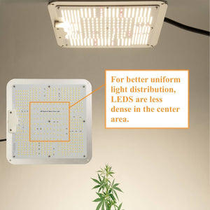 CultiLux 600W Quantum Board Full Spectrum LED Grow Light