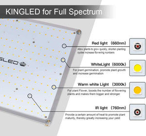 King Plus UL Series 2000W LED Grow Light Full Spectrum Plants Lights for Indoor Veg and Flower Growing Lamp(620 Samsung LED Chips)