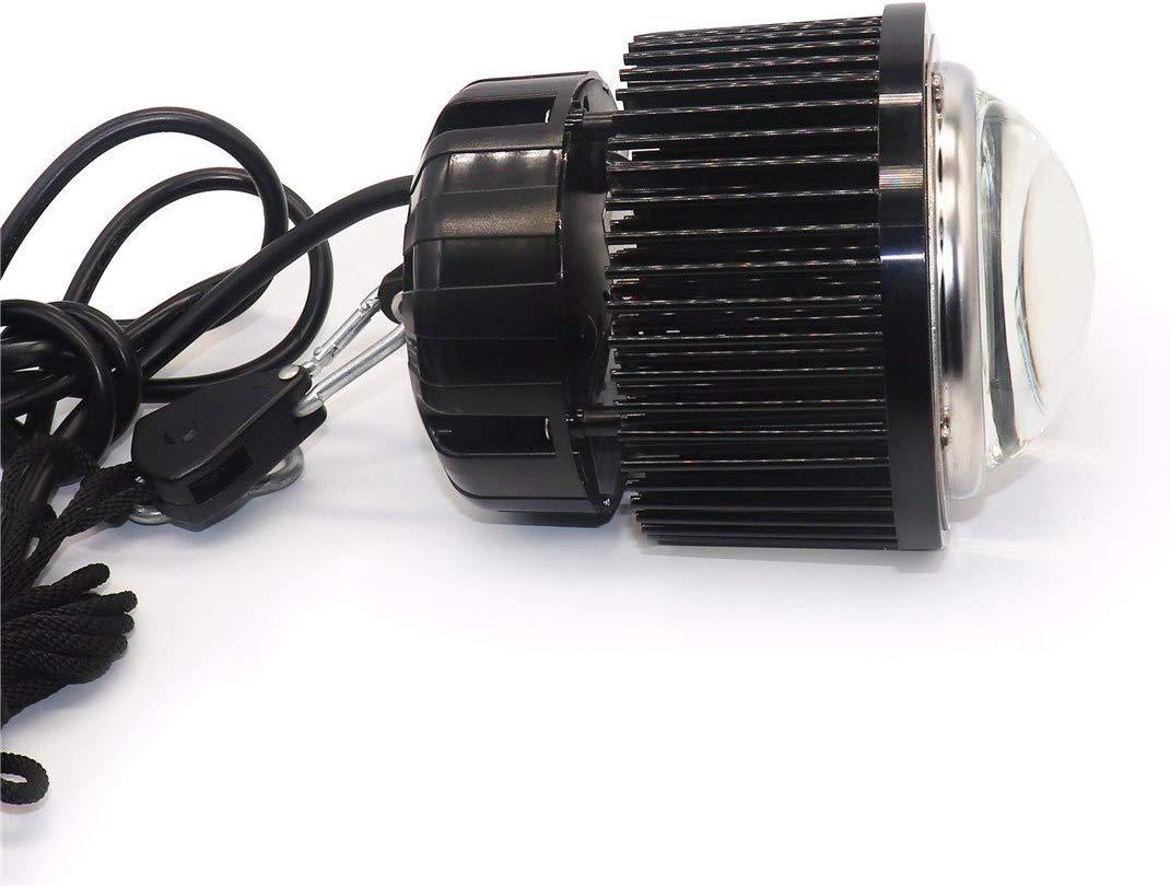 Cree grow led store