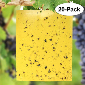 ECO Farm 20 Pack Dual-Sided Yellow Sticky Traps
