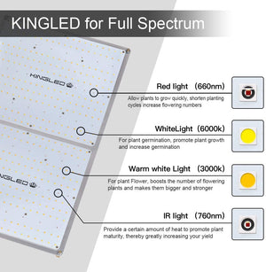 King Plus UL Series 4000W LED Grow Light Full Spectrum Plants Lights for Indoor Veg and Flower Growing Lamp(1240 Samsung LED Chips)