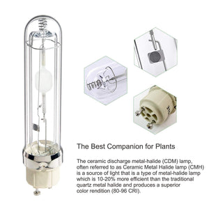 ECO Farm CMH 630W Single Ended Grow Light Fixture Enclosed Kit