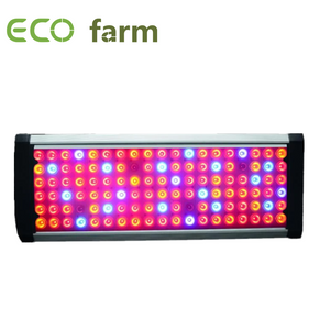 ECO Farm 210W/300W/452W/600W LED Grow Light