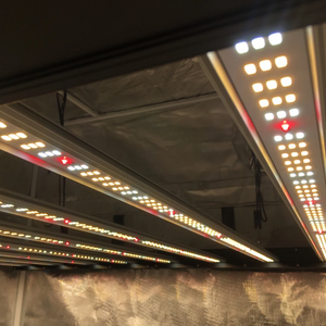 Grower's Choice ROI-E680 Horticultural Lighting Strips 680W Full Spectrum LED Grow Light