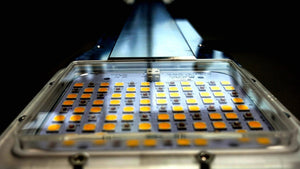 Horticulture Lighting Group 370W LED Grow Light For Indoor Planting
