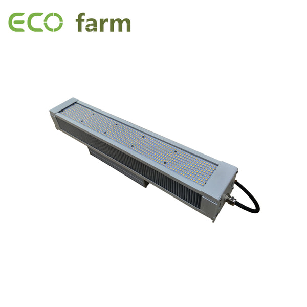 ECO Farm 320W/640W LED Grow Light With 630nm+460nm Full Spectrum Hydroponic Grow System Light Strips