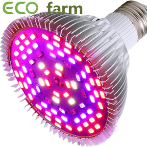 ECO Farm 50W Full Spectrum Grow Lights for Indoor Plants
