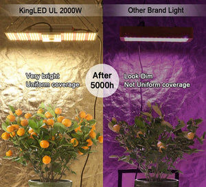 King Plus UL Series 2000W LED Grow Light Full Spectrum Plants Lights for Indoor Veg and Flower Growing Lamp(620 Samsung LED Chips)