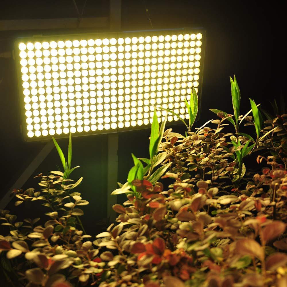 Eco farm on sale led grow light