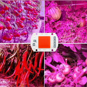 ECO Farm LED Grow Light Full Spectrum COB LED Chip AC No need driver Phyto Lamp For Indoor Plant Light Seedling Grow Lamp