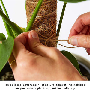 ECO Farm Moss Rod Garden Coconut Moss Support Expansion Indoor Plant Climbing