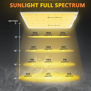 Bloom Plus 300W LED Grow Light Sunlike Full Spectrum For Indoor Plants VEG Flower Lamp