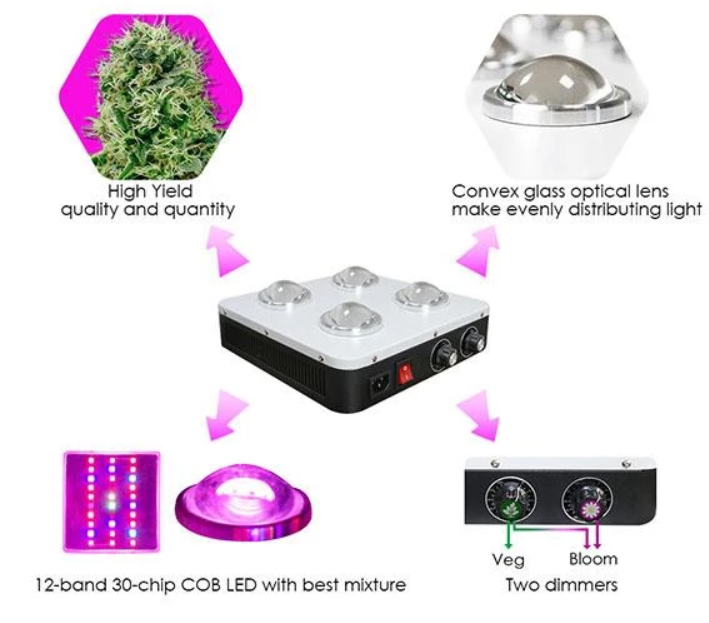 Best cree cob online led grow light