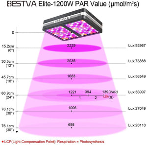 BESTVA 600/1200/2000W LED Grow Light